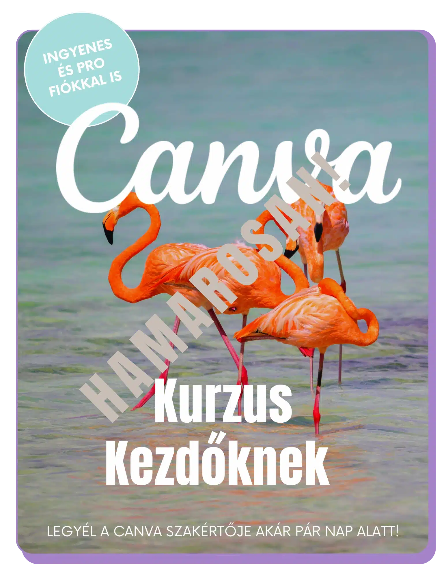 canva kurzus kezdőknek